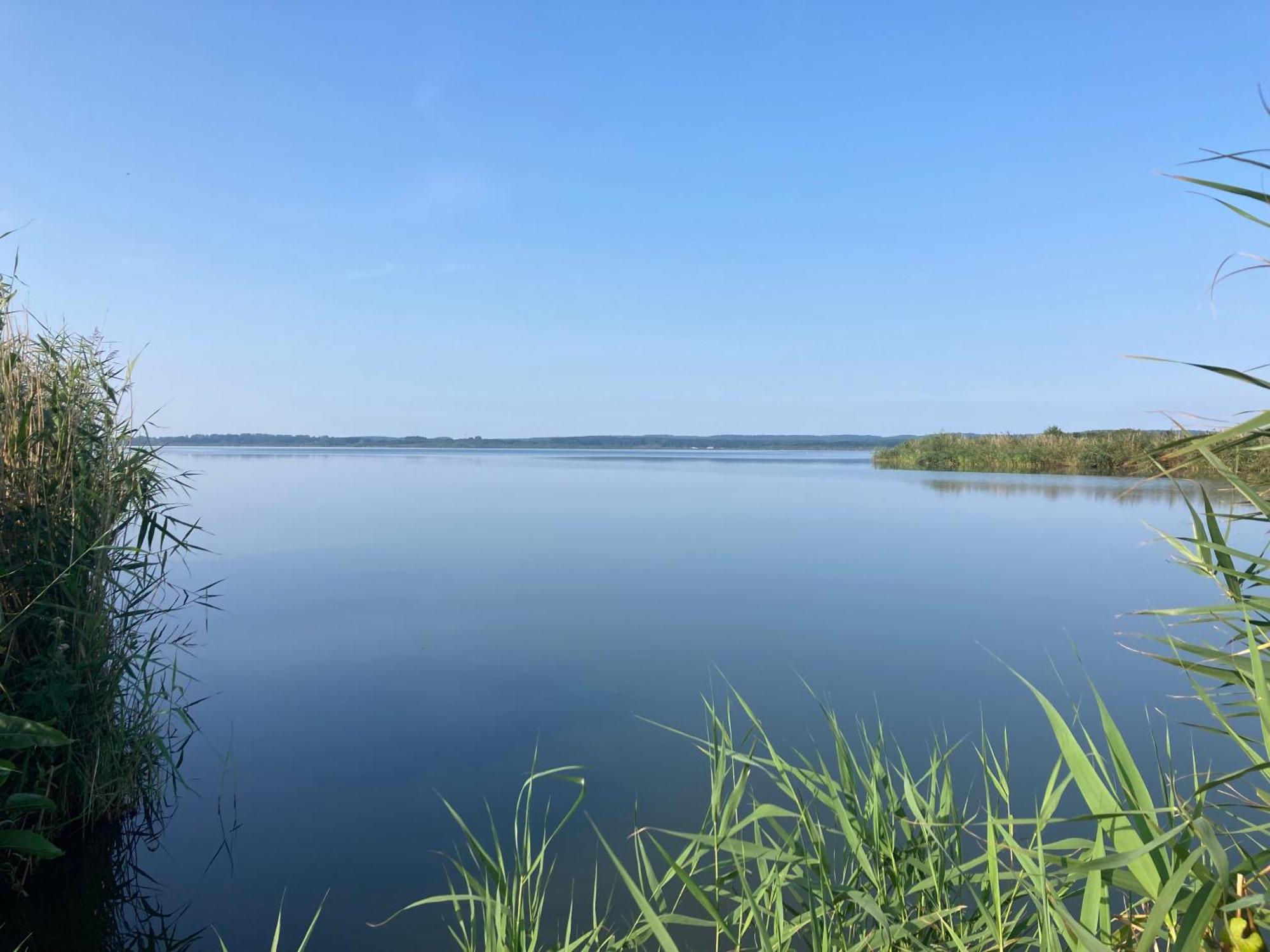 Nowe Apartamenty Ostoja - Nad Baltykiem - Cisza I Piekno Natury Zastan Bagian luar foto